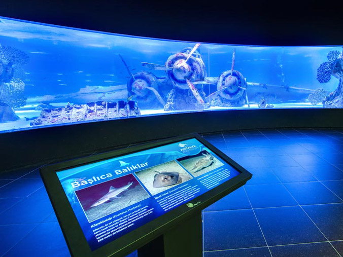 Tour Image 5