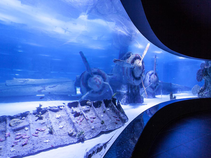 Tour Image 6