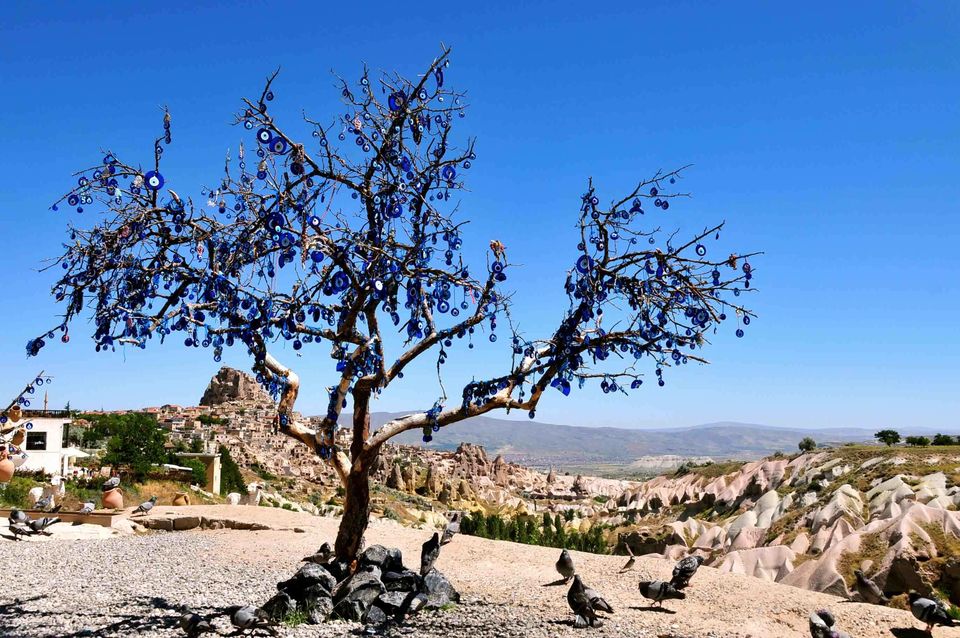Tour Image 15