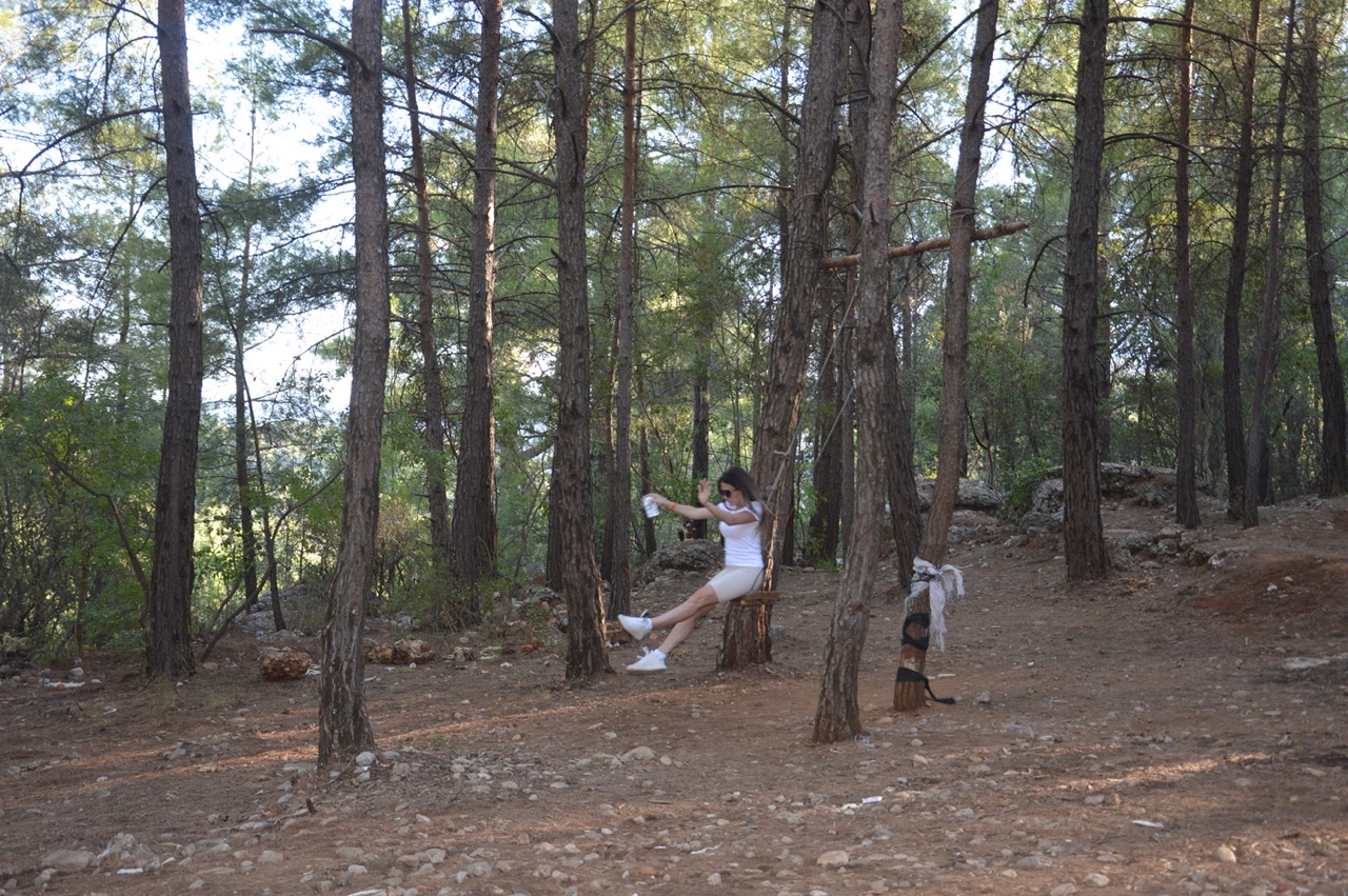 Tour Image 5